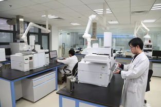 科技引领，服务赋能 以创新技术打响“上海制造”品牌，驱动集团高质量发展